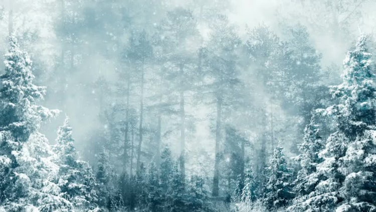 Winter Dream: Stock Motion Graphics