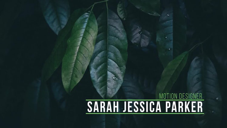 Simple Lower Thirds: After Effects Templates