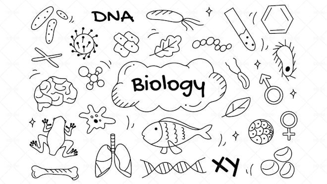 Biology Doodles - Graphics | Motion Array