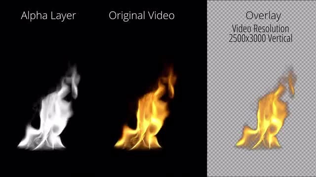 Long Tongue Of Fire: Stock Motion Graphics