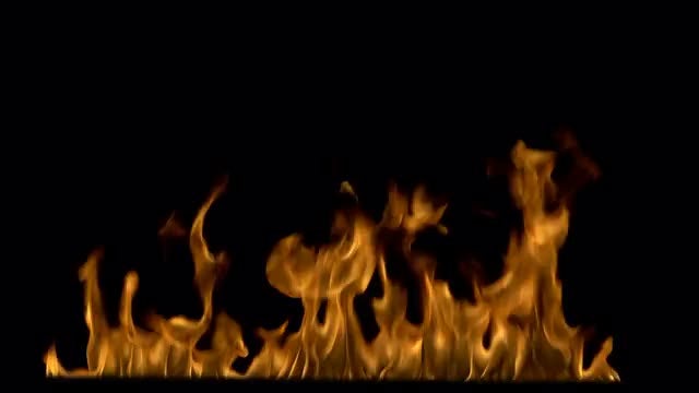 Fire On Black Background: Stock Video