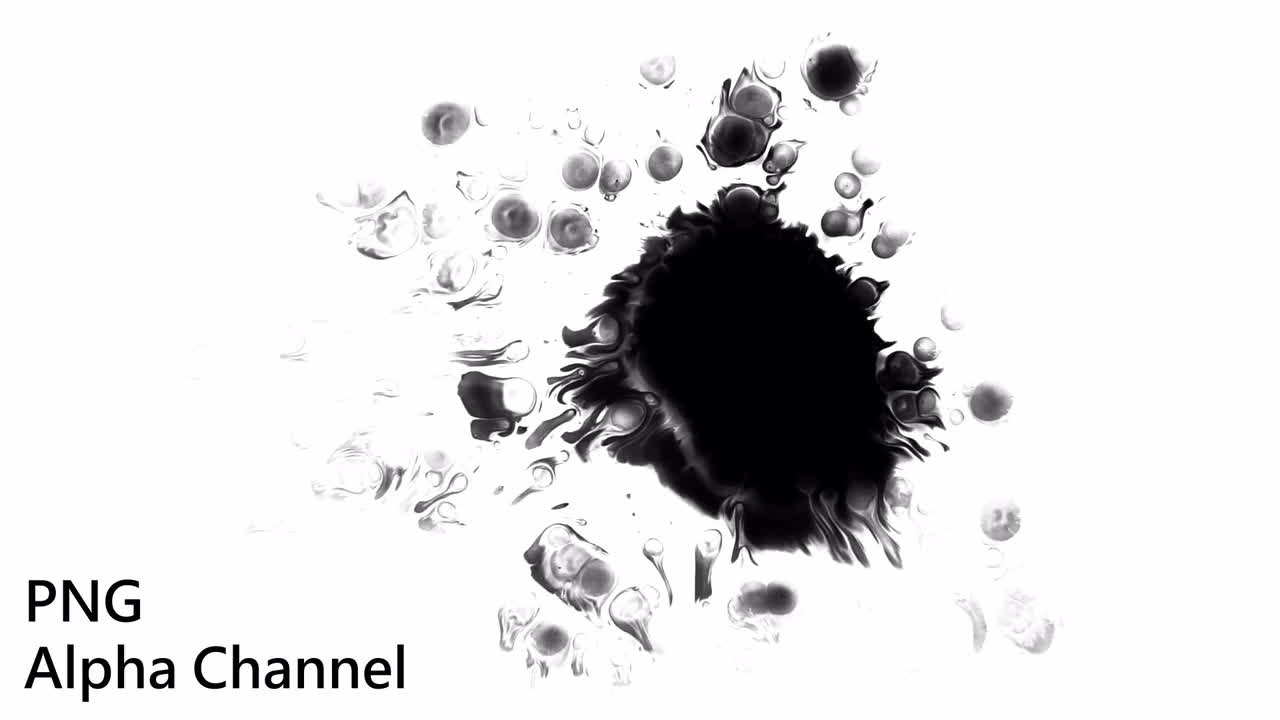 Black Ink Drops On White by Action 14 - Stock Motion Graphics