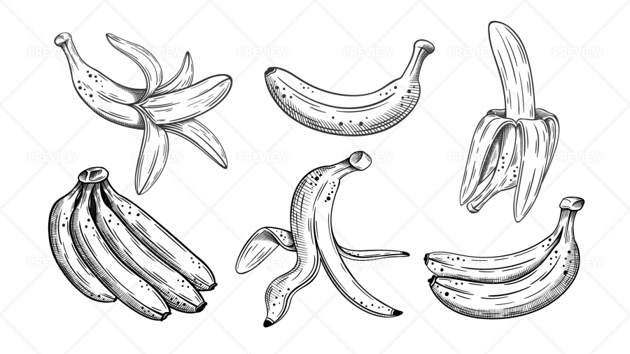 Premium Photo | 3D Art Presenting Image of Hand Drawing Realistic Banana  Bunch with Pencil Generative AI