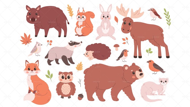 14 Woodland Animals - Graphics | Motion Array