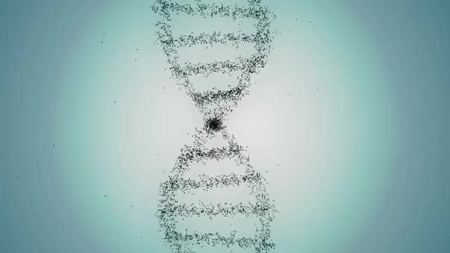 From DNA To Human: Stock Motion Graphics