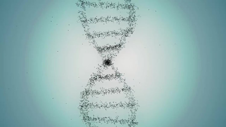 From DNA To Human: Stock Motion Graphics