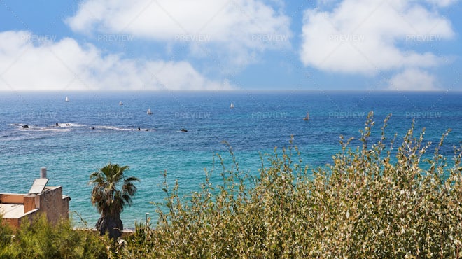 Seascape of Mediterranean sea, many fish underwater and blue sky