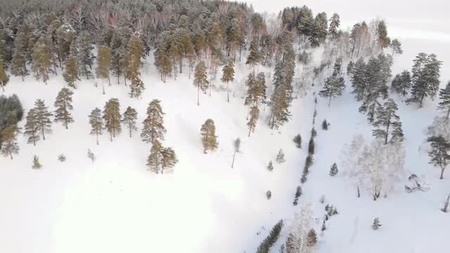 Aerial Of Snowy Hill: Stock Video