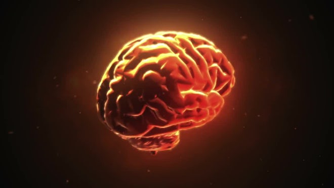 Moving Brain Animation