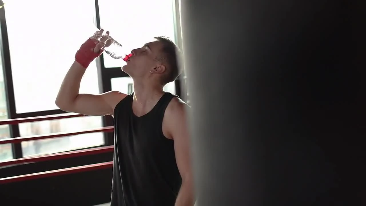 Boxer Drinking Water - Stock Video | Motion Array