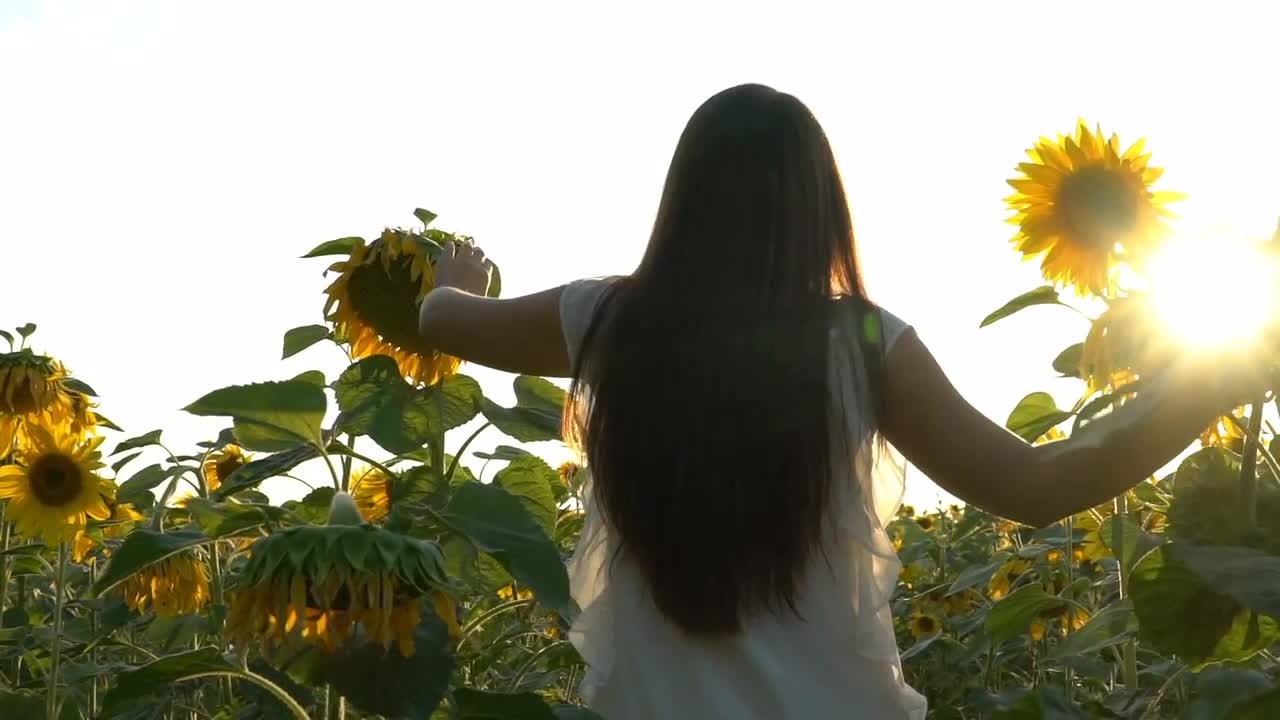 Girl In Sunflower Field - Stock Video | Motion Array