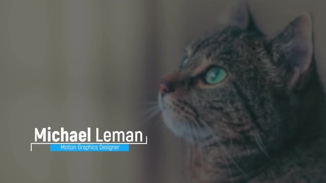 Minimal Lower Thirds: Premiere Pro Templates