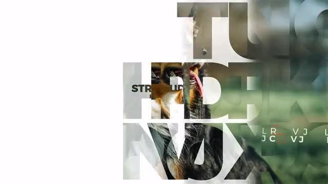 Cinematic Slideshow: After Effects Templates