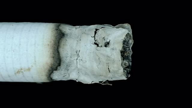 Smoldering Cigarette: Stock Video