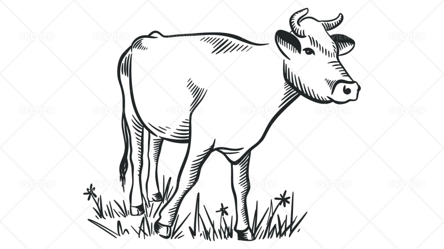 Grass eating cow coloring page | Cow coloring pages, Coloring pages, Animal  coloring pages