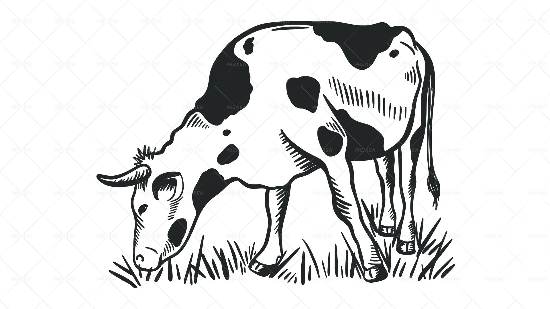 Isolated cow eating grass on a white background. Black and white sketch  line silhouette vector illustration. Stock Vector by ©Elalalala.yandex.ru  540631092