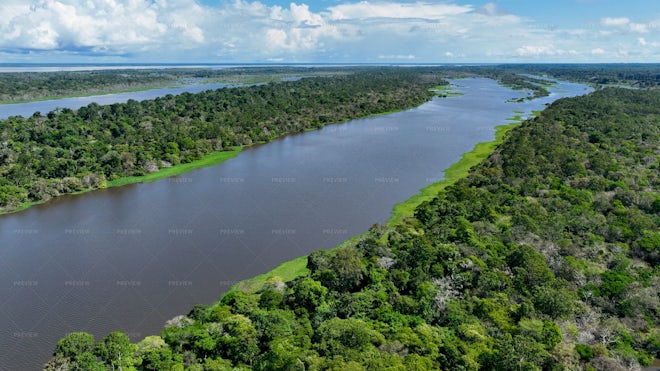 Amazon Rainforest At Manaus Brazil - Stock Photos | Motion Array