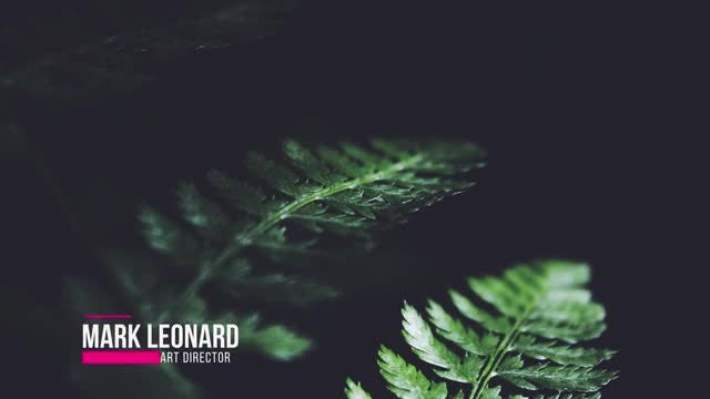 Lower Thirds: After Effects Templates