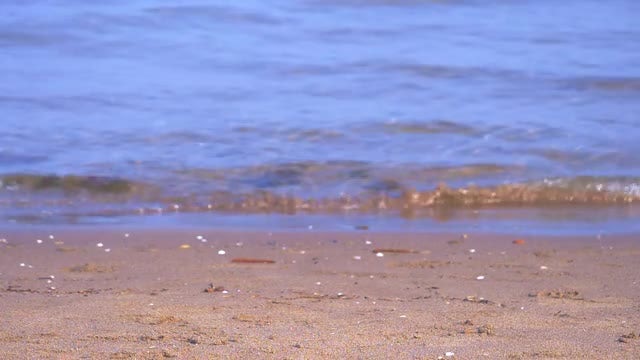 Beach Waves: Stock Video