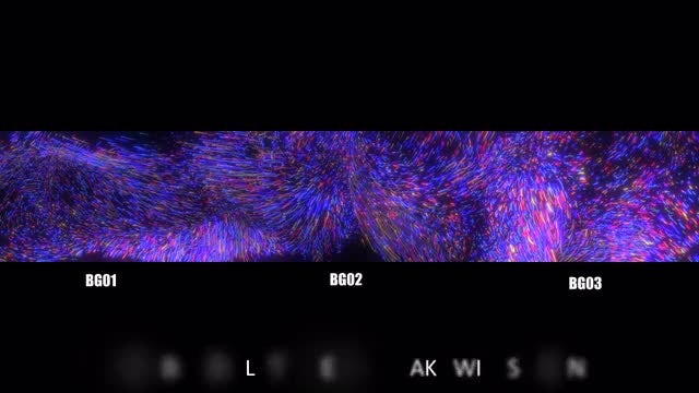 Neon Fur Widescreen Pack: Stock Motion Graphics