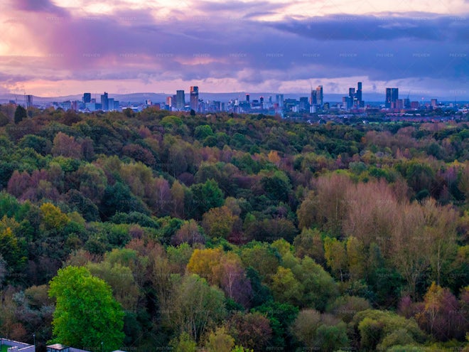 City Skyline - Stock Photos | Motion Array