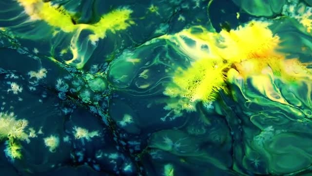 Green And Yellow Colors: Stock Video