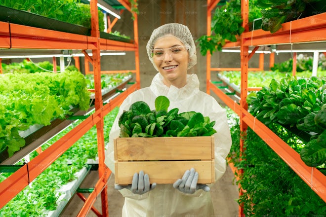 Portrait Of Cheerful Greenhouse Employee - Stock Photos | Motion Array