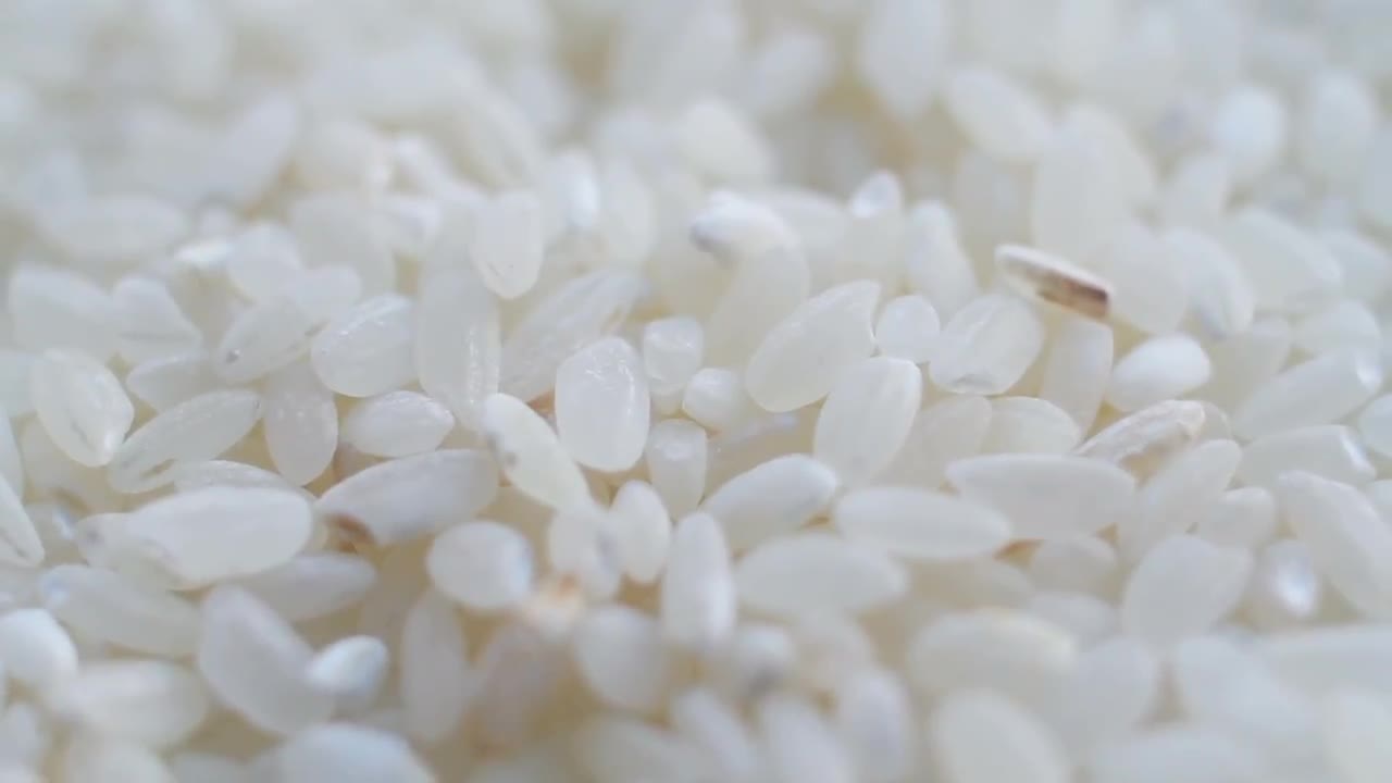 Rice Grains Stock Video Motion Array