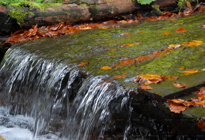 Falling Water - Stock Photos | Motion Array