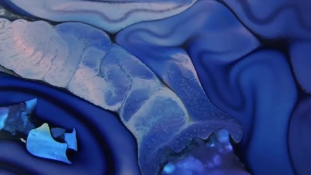 Blue Spun Paint: Stock Video