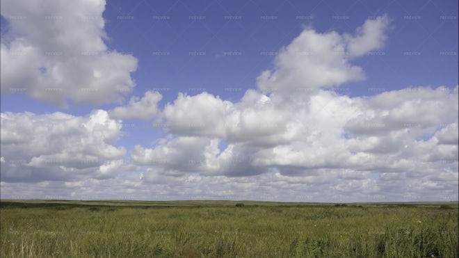 Field Of Grass - Stock Photos | Motion Array