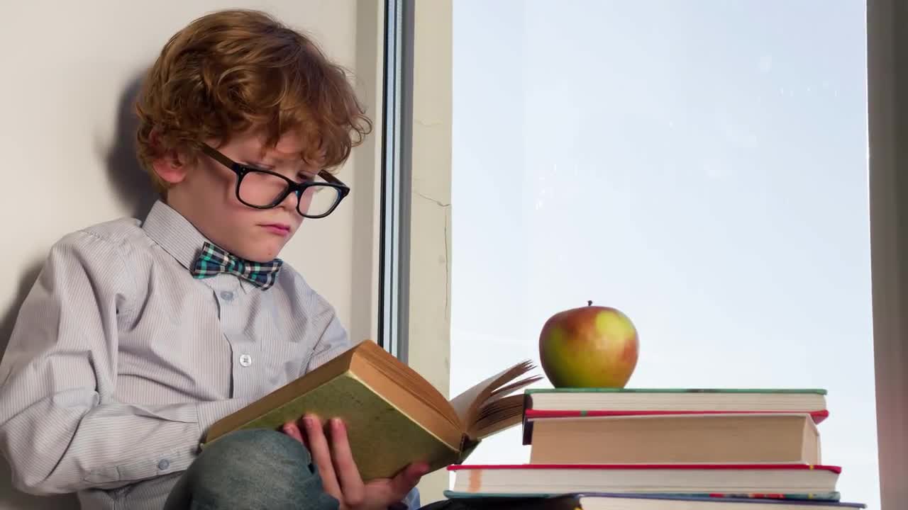 Boy Reads A Book - Stock Video | Motion Array