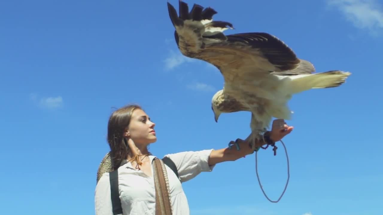 The falconer системные требования