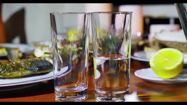 Turkish Raki Dinner: Stock Video