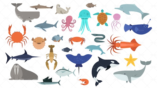 24 Sea And Ocean Animals Stickers - Graphics | Motion Array