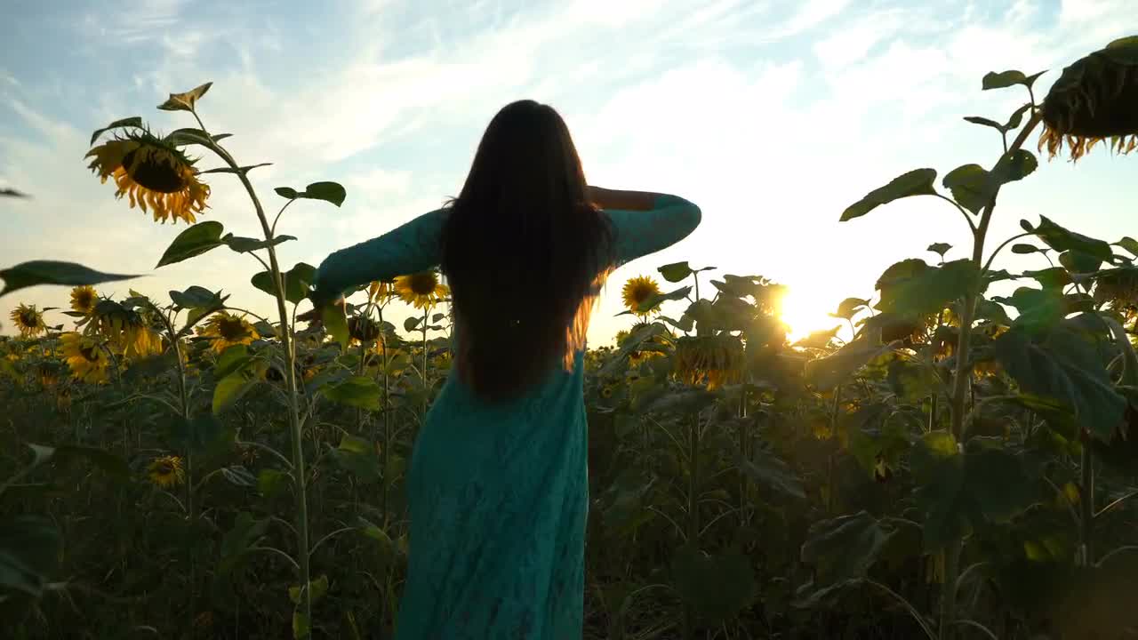 Girl In Sunflower Field - Stock Video | Motion Array