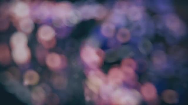 Pink-Blue Cinematic Bokeh Lights: Stock Motion Graphics