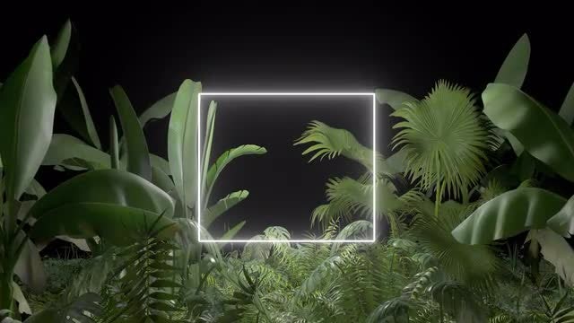 Tropical Forest Title Frame: Stock Motion Graphics
