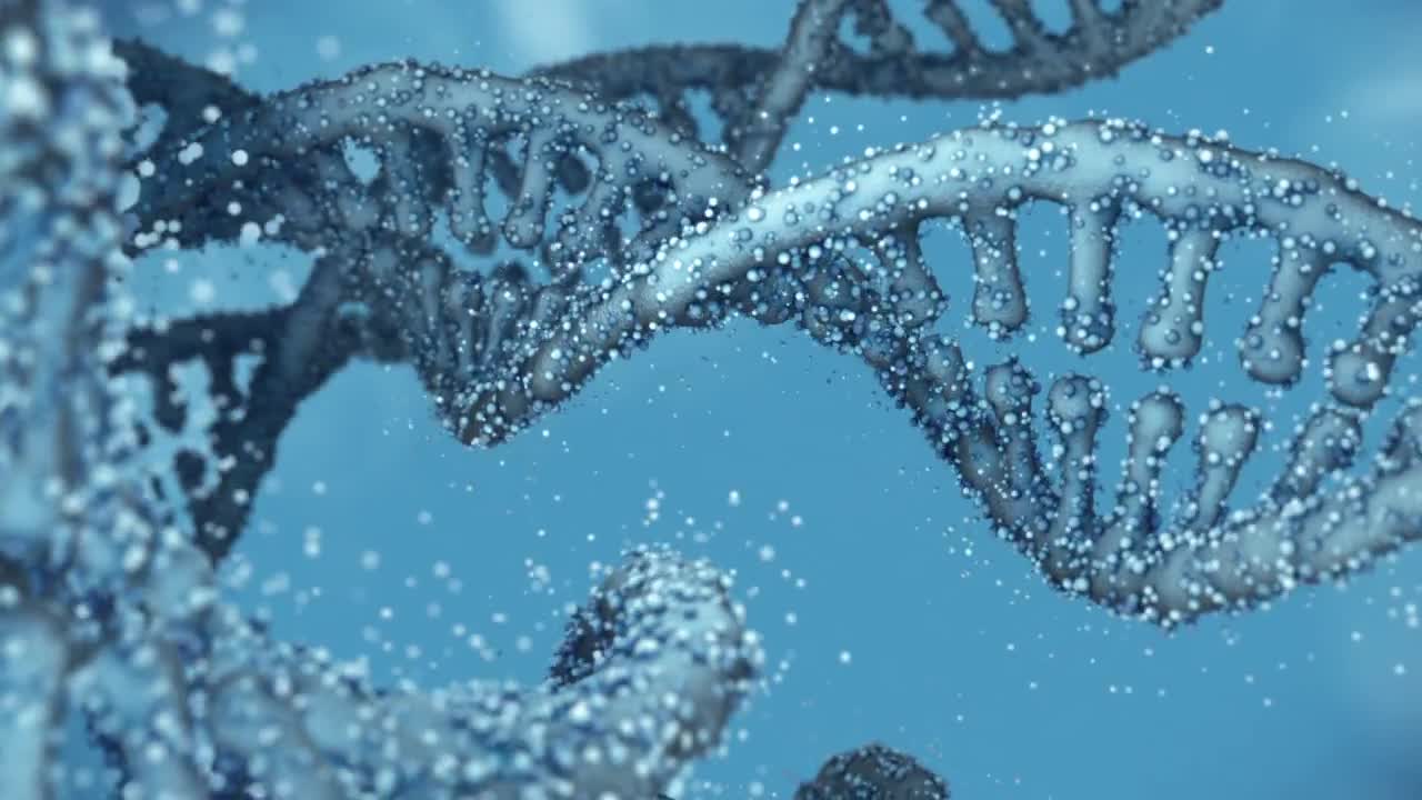 Looped DNA Chains - Stock Motion Graphics | Motion Array