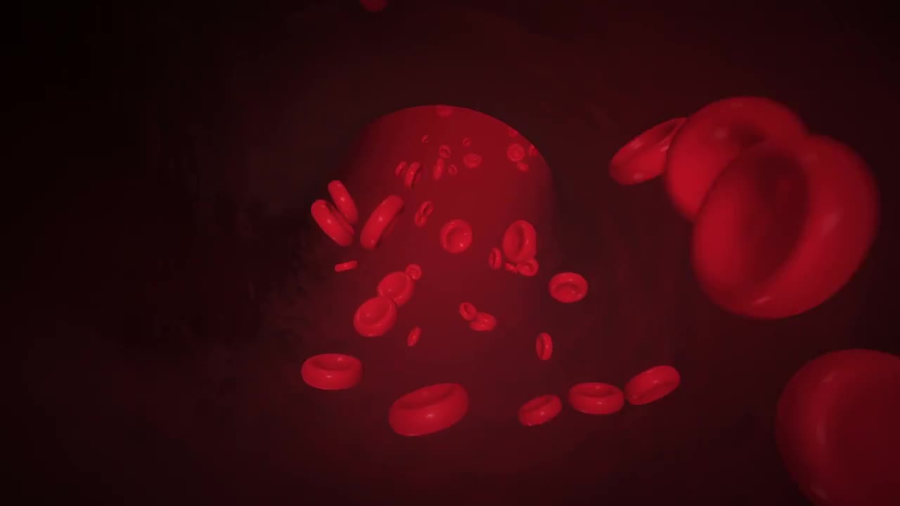 Blood Flows Through A Vein Stock Motion Graphics Motion Array