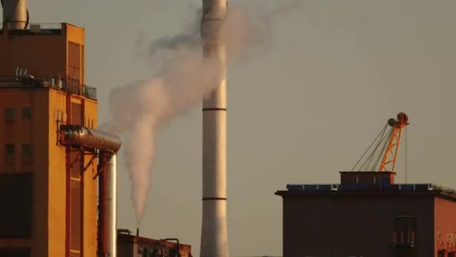 Expelling Smoke: Stock Video