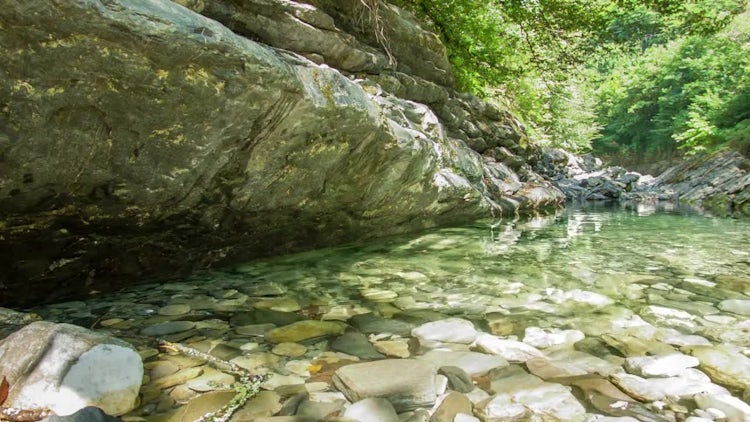 Mountain River With Rocks: Stock Video