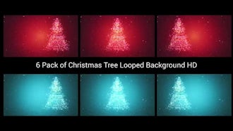 6 Pack of Christmas Tree Looped Background HD: Motion Graphics