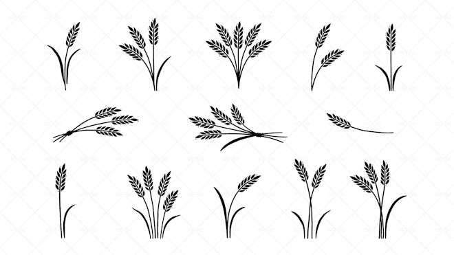 13 Wheat Sheaf Stickers - Graphics | Motion Array