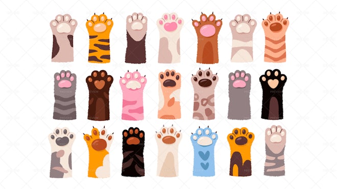 21 Cat Paws - Graphics | Motion Array