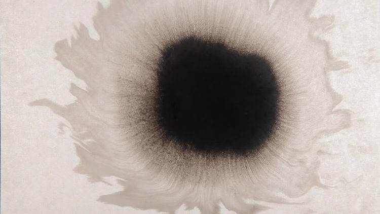 Ink Drop 21: Stock Video