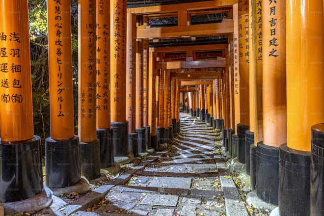 The Fushimi Inari - Stock Photos 