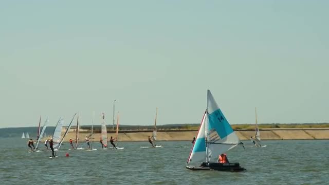 Windsurfers: Stock Video