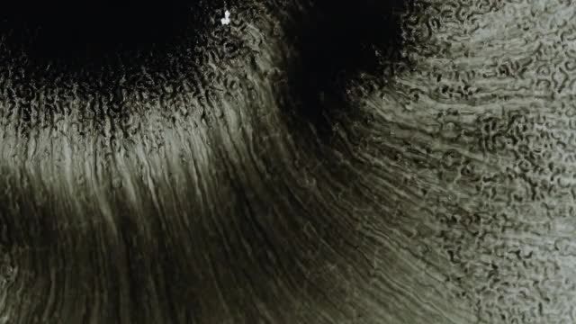 Black Ink Pack: Stock Video