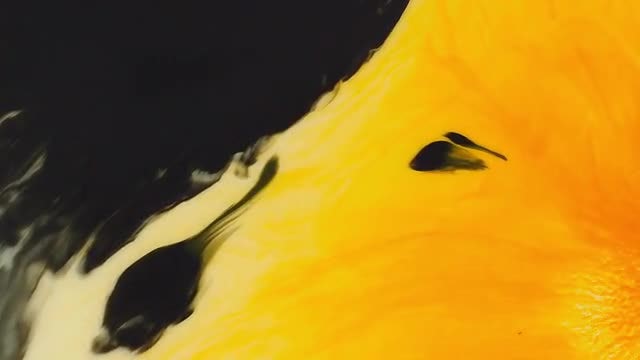 Black Yellow Ink Fill Pack: Stock Video